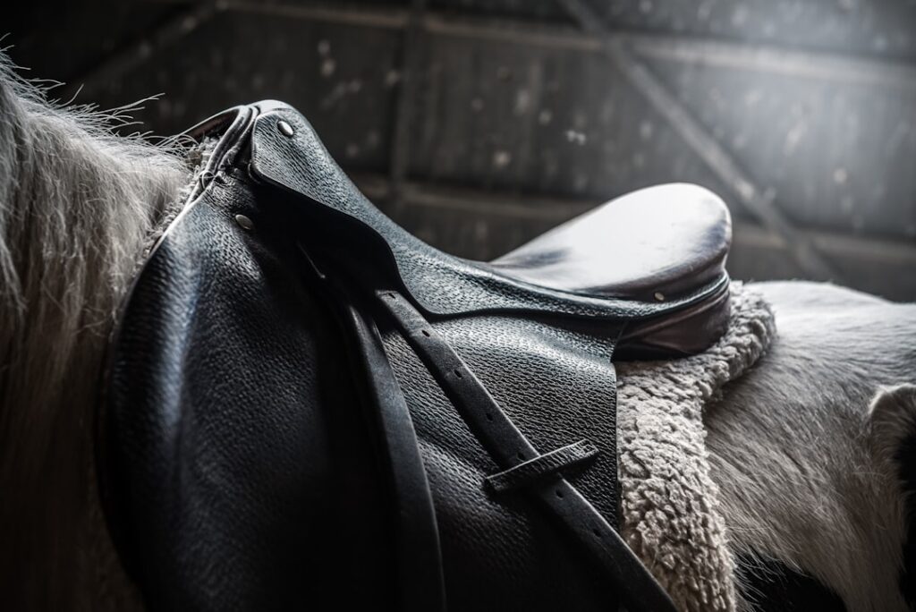 Equestrian Saddle and tack in a stable, with canvas equestrian accessories