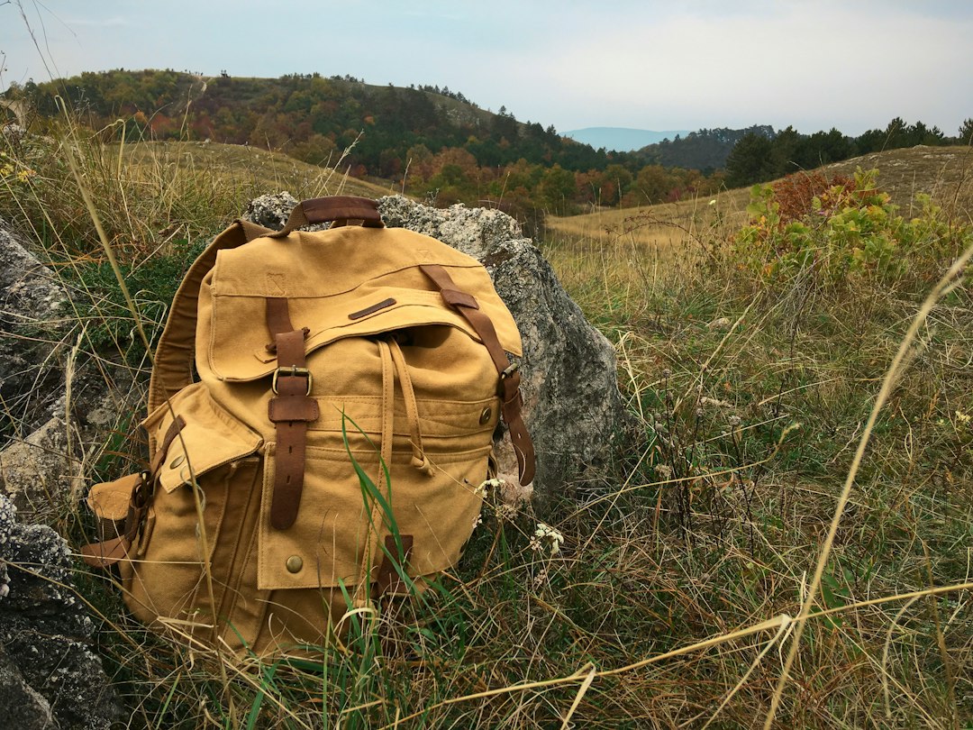 Backpack made from polyester canvas